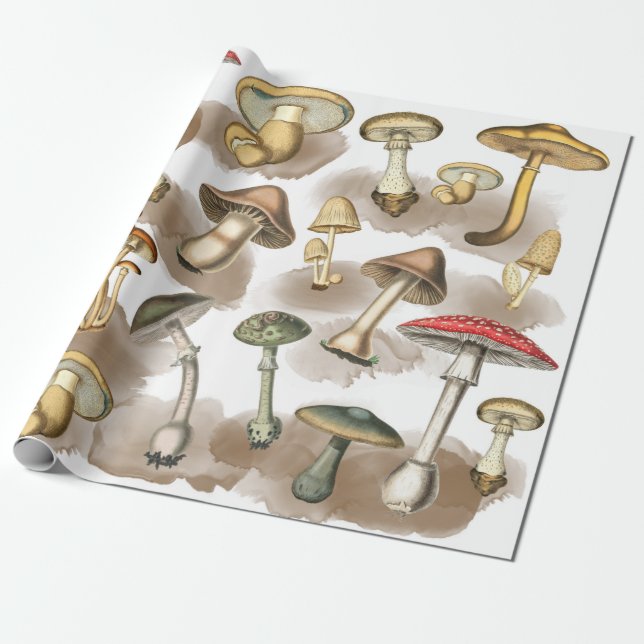 Vintage Woodland Forest Mushrooms Wrapping Paper (Unrolled)