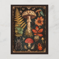 Vintage Woodland Toadstool Cottagecore 