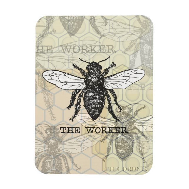 Vintage Worker Bee Illustration Art Magnet (Vertical)