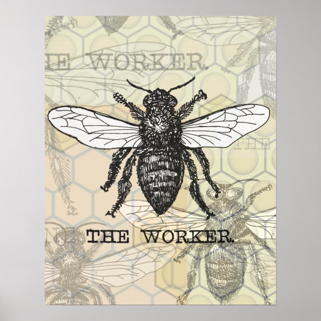 Vintage Worker Bee Illustration Art Poster (Front)
