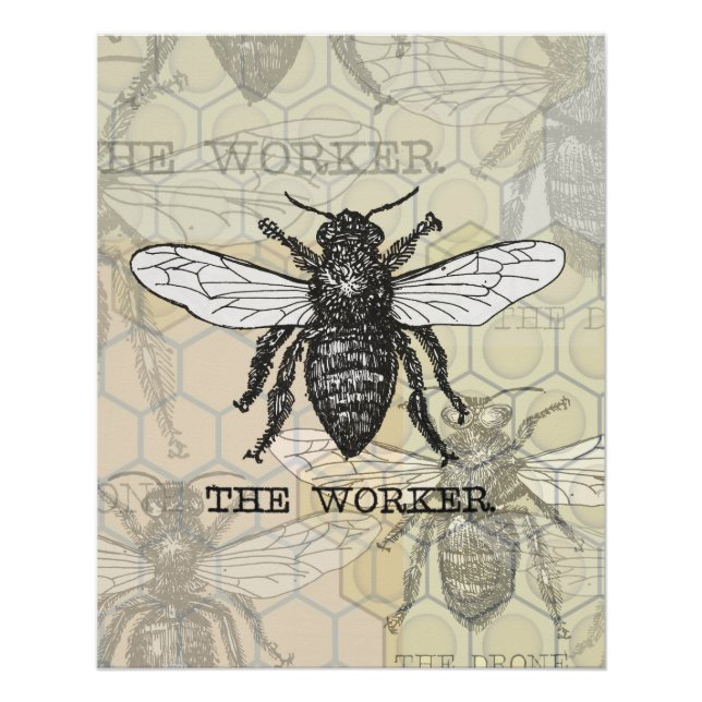 Vintage Worker Bee Illustration Art Poster (Front)