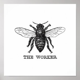 Vintage Worker Bee Illustration Poster