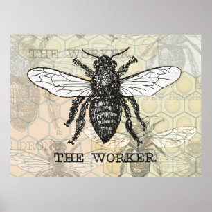 Vintage Worker Bee Illustration Poster