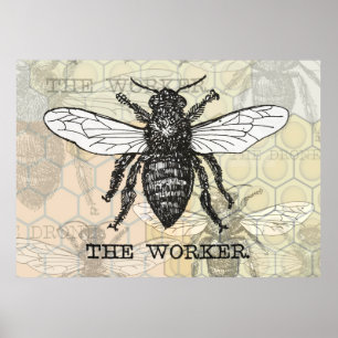 Vintage Worker Bee Illustration Poster