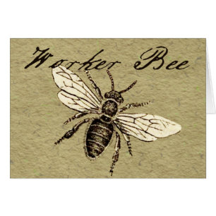 Vintage Worker Bee Insect Illustration Antique