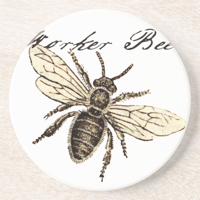 Vintage Worker Bee Insect Illustration Antique Coaster (Front)