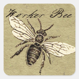 Vintage Worker Bee Insect Illustration Antique Square Sticker