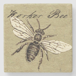Vintage Worker Bee Insect Illustration Antique Stone Coaster