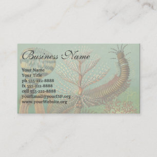 Vintage Worms Annelids Chaetopoda by Ernst Haeckel Business Card