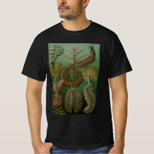 Vintage Worms Annelids Chaetopoda by Ernst Haeckel T-Shirt