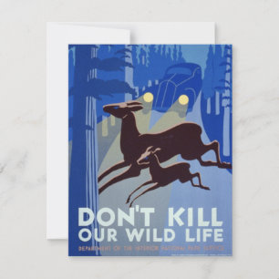 Vintage WPA   Wildlife Conservation Poster