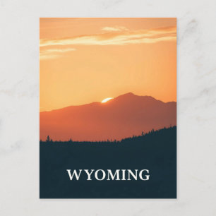 Vintage Wyoming Postcard