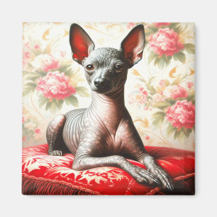 Vintage Xoloitzcuintle  Illustration Magnet
