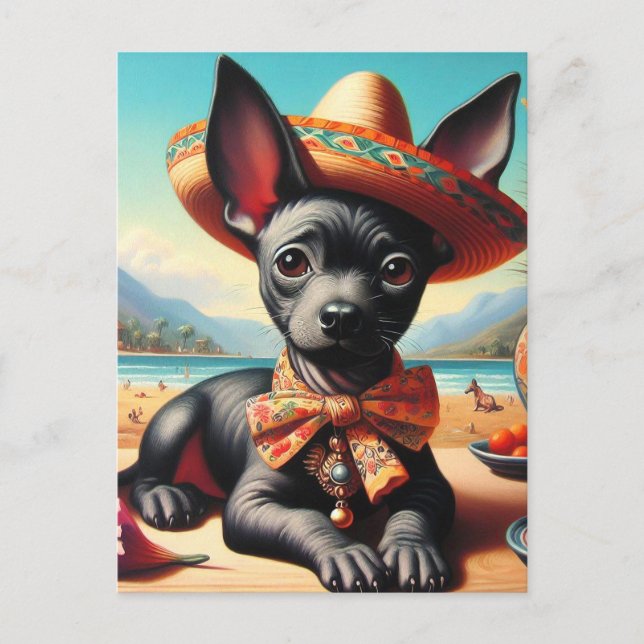 Vintage Xoloitzcuintle Postcard (Front)