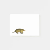 Vintage yellow armadillo illustration