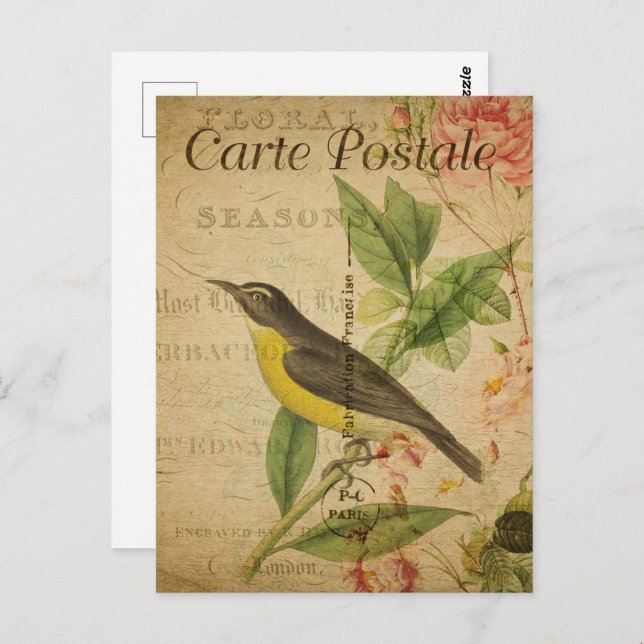 Vintage Yellow Bird Postcard (Front/Back)