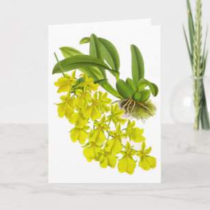 Vintage Yellow Orchid Flower Blank Note Card