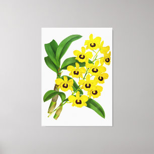 Vintage Yellow Orchid Flower - Canvas Print
