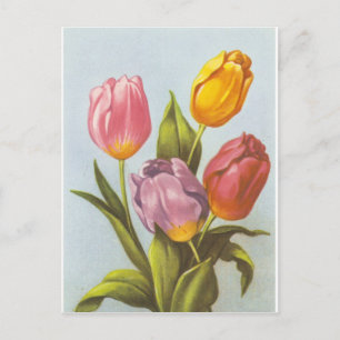 Vintage Yellow, Pink, and Purple Tulips Postcard