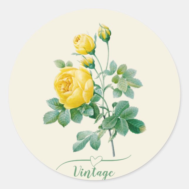 Vintage Yellow Rose Fine art  Classic Round Sticker (Front)