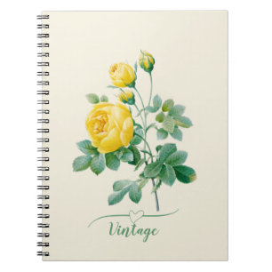 Vintage Yellow Rose Fine art  Notebook