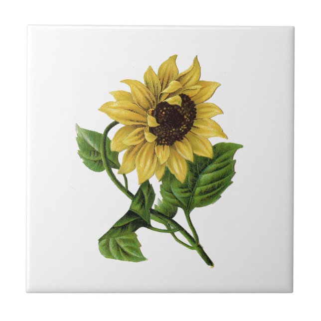 Vintage Yellow Sunflower Tile (Front)