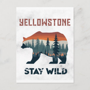 Vintage Yellowstone Grizzly Bear Stay Wild Postcard