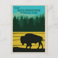 Vintage Yellowstone National Park Buffalo