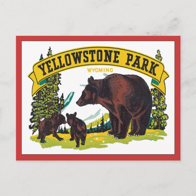 Vintage Yellowstone Park Wyoming USA Postcard (Front)