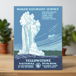 Vintage Yellowstone WPA Postcard