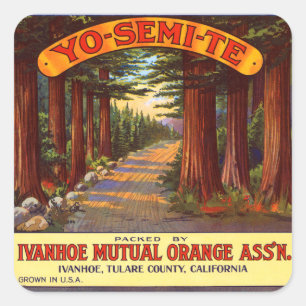 Vintage Yo-Semi-Te Orange Label