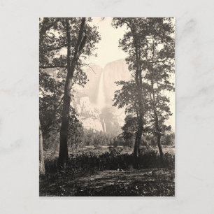 Vintage Yosemite Falls Postcard