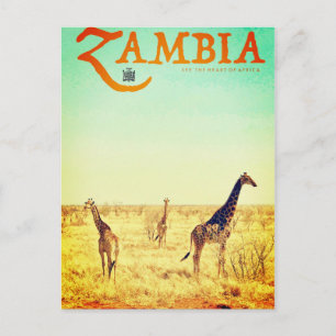 Vintage Zambia Travel Postcard