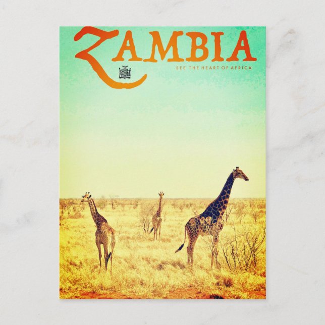 Vintage Zambia Travel Postcard (Front)