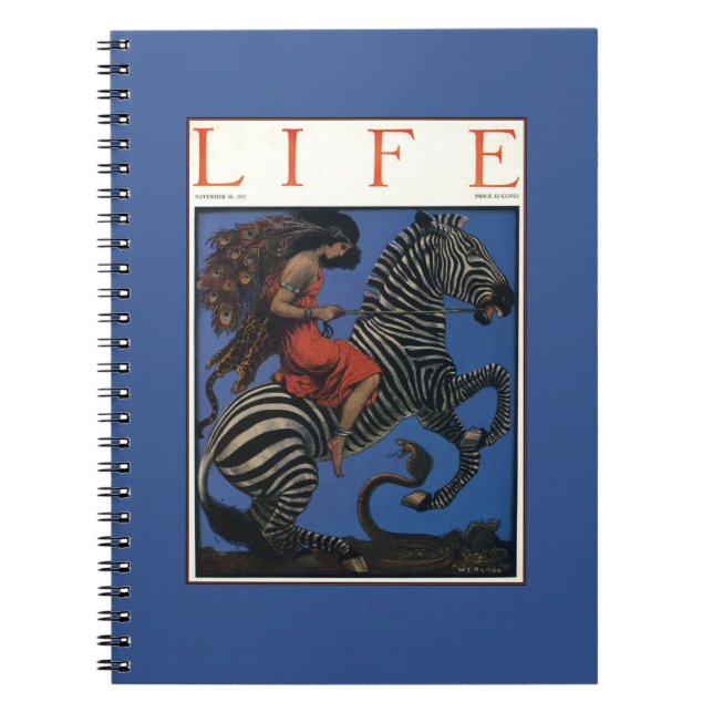 Vintage Zebra Art Nouveau Woman Notebook (Front)