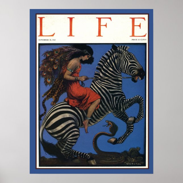 Vintage Zebra Art Nouveau Woman Poster (Front)