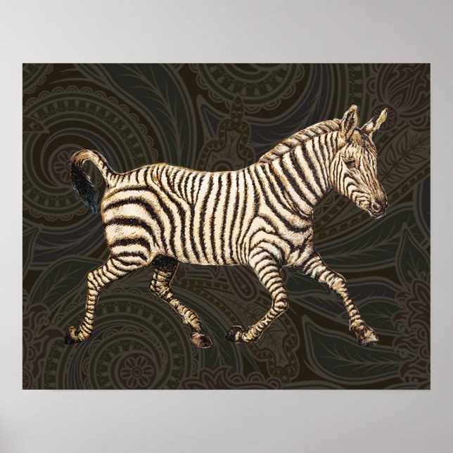 Vintage zebra running with paisley design poster (Front)