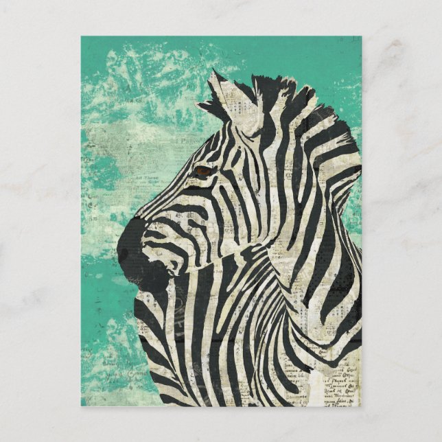 Vintage Zebra Turquoise Postcard (Front)