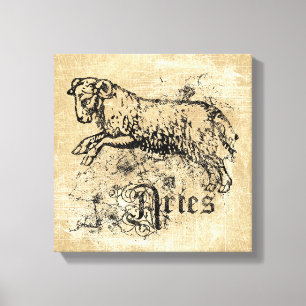 Vintage Zodiac Aries Canvas Print