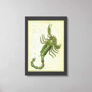 Vintage Zodiac, Astrology Scorpio Constellation Canvas Print