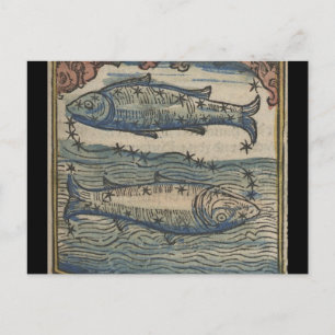 Vintage Zodiac- The Pisces Postcard