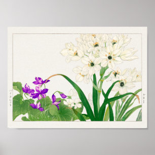 Viola, Arabian star flower by Tanigami Konan Poster
