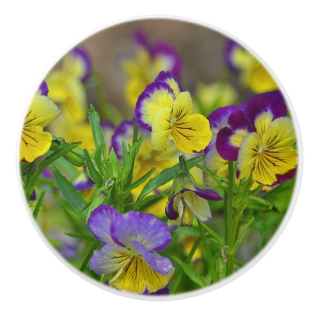 Viola Ceramic Knob (Front)