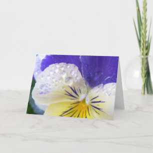 Viola Flowers Greeting Card