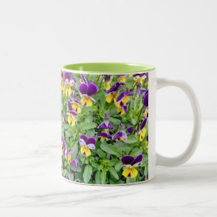 Viola Flowers in Spring Two-Tone Coffee Mug