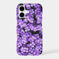 Viola Flowers Violets iPhone Case