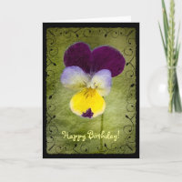 Viola, Happy Birthday!