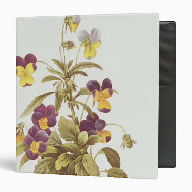 Viola Tricolour Binder (Front/Inside)