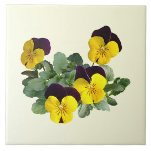 Violas Sorbet Yellow Jump Up Tile