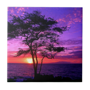 Violet and Pink Sunset Tree Tile